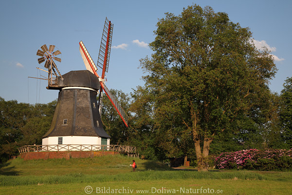 Worpsweder Windmhle auf Rattenberg Mhlenstrae