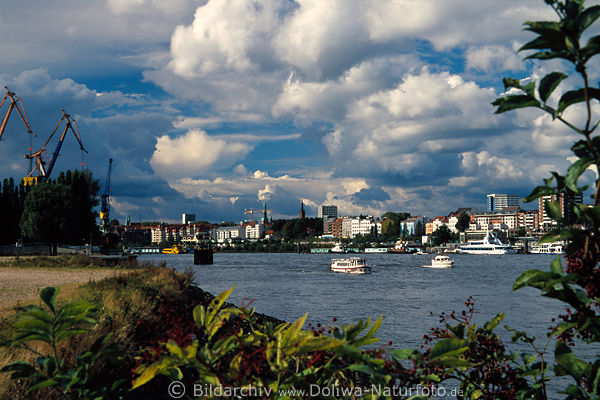 Hamburg Elbe Fluss Landschaft unter Kumuluswolken Hafenstadt Sdseite Stimmung am Wasser