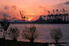 2882_ Sonnenaufgang-Foto Elbe Containerhafen Hamburg Kräne Kamine-Rauch bei Övelgönne Lichtstimmung