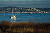Elbe-Schiff Blankenese Wasser-Blick Hamburg Foto bei Cranz Estemündung