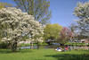 Hamburg Alsterparkwiese liegende Menschen Frühlingsblüte Naturoase