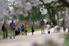 Alsterpark-Spaziergänger Baumblüte Frühlingsfoto mit Kindern Hamburger Paare