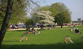 Hamburger Alsterpark Wiese Besucher Frhling Naturoase Menschen Spaziergang Panorama Foto