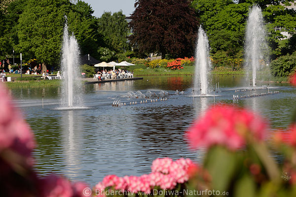 Wasserfontnen Springbrunnen Hamburg Park Planten un Blomen Wasserlichtspiele