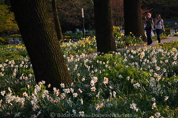 Park Frhlingsblte Besucher Mdchen mit Eis Spaziergang in Hamburg