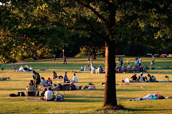 Alsterwiese Picknick in Abendlicht Hamburger grillen klönen im Park