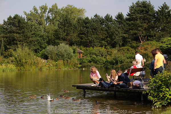 Teichsteg mit Menschen bei Vgel in Wasser Naturoase Hamburg Bot.-Garten 