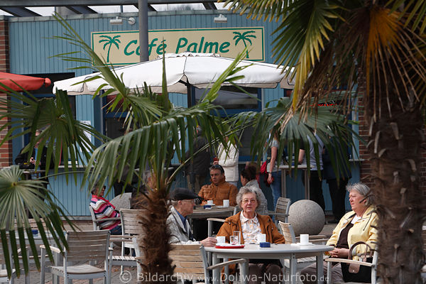 Caf Palme Besucher Botanischer Garten Hamburg Klein Flottbek