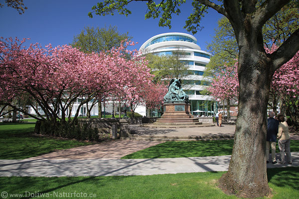 Kirschblte Frhlingsoase Besucher Paare am Kriegerdenkmal Alsterpark Hamburg