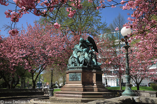 Kirschblte um Kiegerdenkmal Alsterpark Hamburg lila-Bume Frhlingsoase