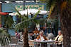 Café Palme Besucher Botanischer Garten Hamburg Klein Flottbek