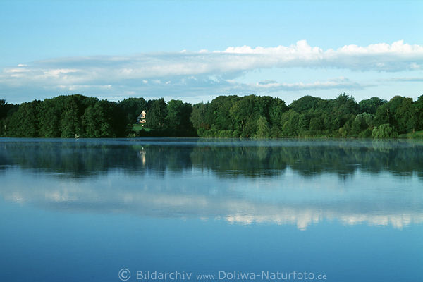 Ltjensee im Morgennebel norddeutsches Gewsser Wasserlandschaft