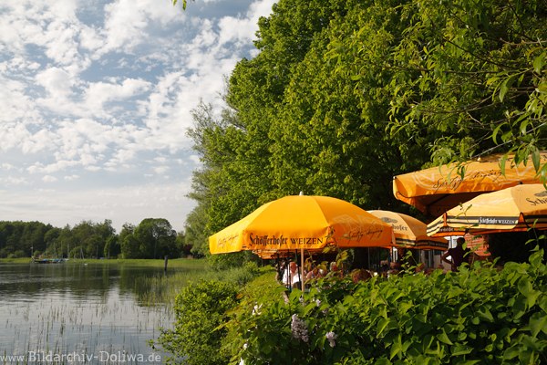 Fhrhaus Rothenhusen Caf-Restaurant Sonnenschirme in Grn-Oase am Seeufer