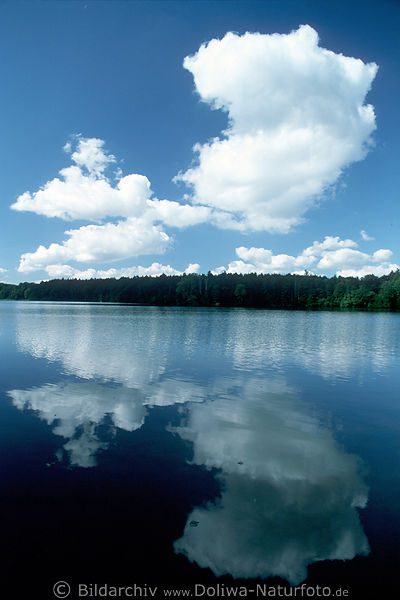 Wolkenstimmung am Ltjensee Gewsser bei Trittau ruhige Wasserlandschaft Wolken-Spiegelung