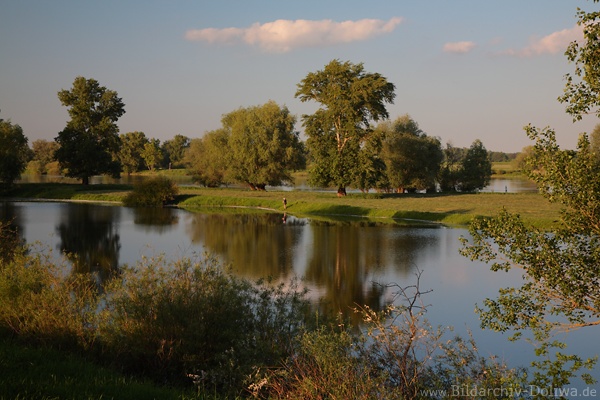 Elbniederung Wasser Insel Flussufer Naturfoto Angler in Landschaftsidyll Alt-Garge