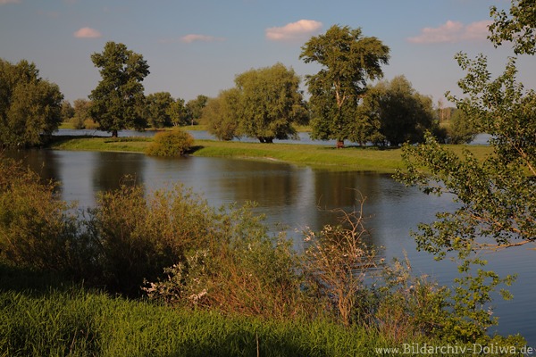 Alt-Garge Elbufer Naturidylle am Wasserfluss Niederschsische Elbtalaue
