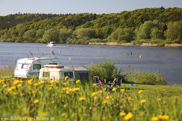 Elbufer-Camper Frhling-Wasseridylle Naturfoto Artlenburg Wohnmobile am Fluss