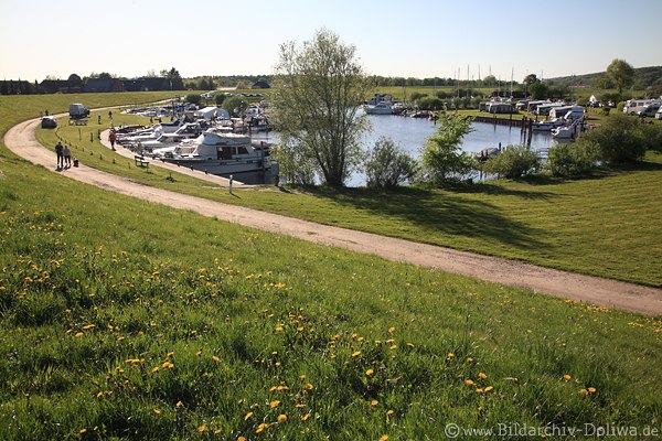 Artlenburg Wasserbucht Elbe Deich Naturidylle Flussufer