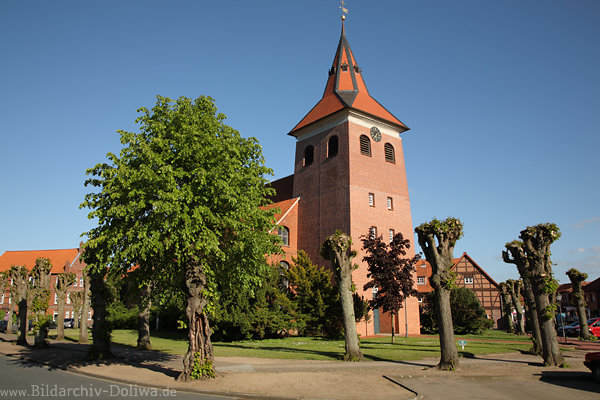 Bleckede Kirche am Markt Backsteinturm Bäume ohne Krone Rotdachhäuser