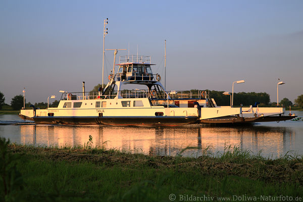 Schiff Tanja Elbfhre Passagier-Autofhre Darchau Flussfahrt