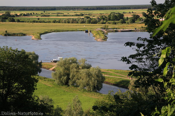 Bitter Elbufer Fhranleger Wasserbuchten Naturidylle Weitblick von oben
