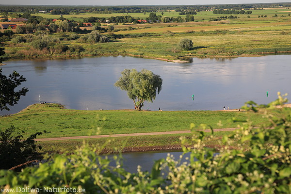 Elbufer Talauen um Wasserfluss grne Landidylle Weitblick Naturfoto von oben