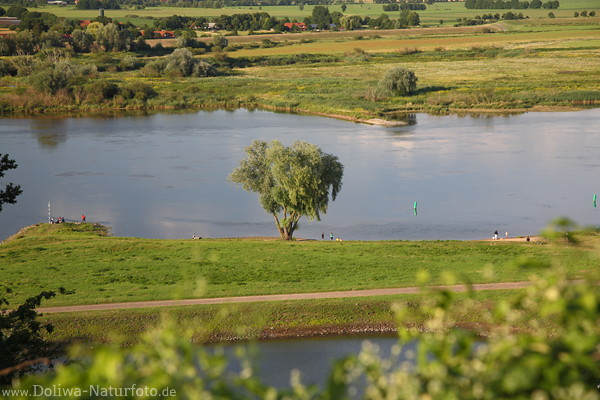 Elbufer Wasser-Landidylle Naturbilder Weitblick von oben