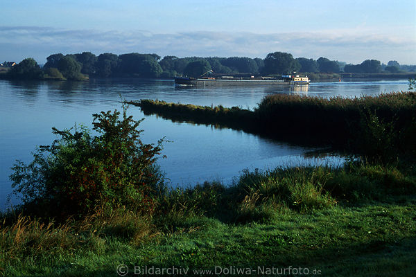 lussBarke Gtertransport Schiff in Elbwasser Naturufer Landschaftsfoto in Morgenfrische