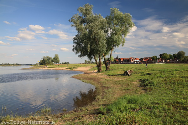 Hitzacker-Elbufer Grünwiese Flusslandschaft Baum Wasser Stadtblick Naturfoto