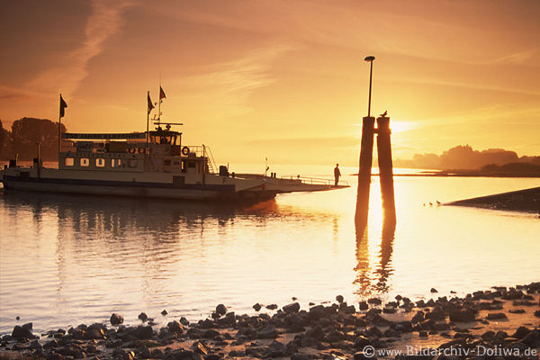 Hoopte-Fhre Zollenspieker Elbe Sonnenaufgang Wasserflussfahrt