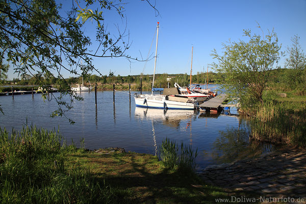 Landschaftsidylle Elbe Wasserbucht Naturfoto Grnufer Lichtstimmung