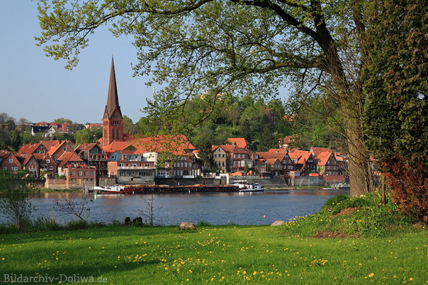 Lauenburg Elbstadt Flussufer Frhling Grnwiese Huser 
