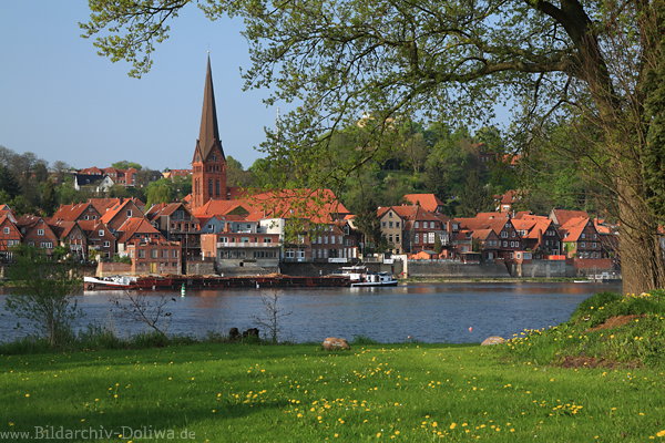 Lauenburg Elbe Flussufer-Altstadt Wasserblick Grnwiese Frhling Naturidylle