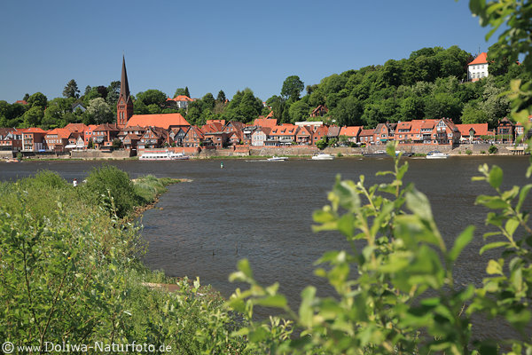 Lauenburg/Elbe Stadtpanorama am Flussufer Frhling-Wasserlandschaft