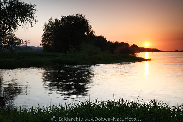 Elbe-Sonnenuntergang ber Wasser Fluss Landschaft Uferzone Natur-Romantik