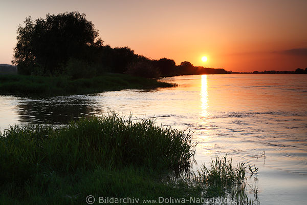 Sonnenuntergang über Elbwasser Flußlandschaft Romantik Natur