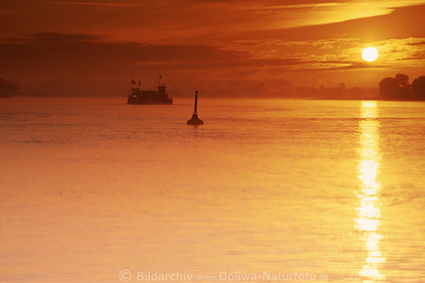 Elbe-Sonnenaufgang Rotwasser Stimmung Fhre in Nebel Gegenlicht Romantik Naturbild