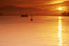 2389_ Elbe-Sonnenaufgang Rotwasser Stimmung Fhre in Nebel Gegenlicht Romantik Naturbild