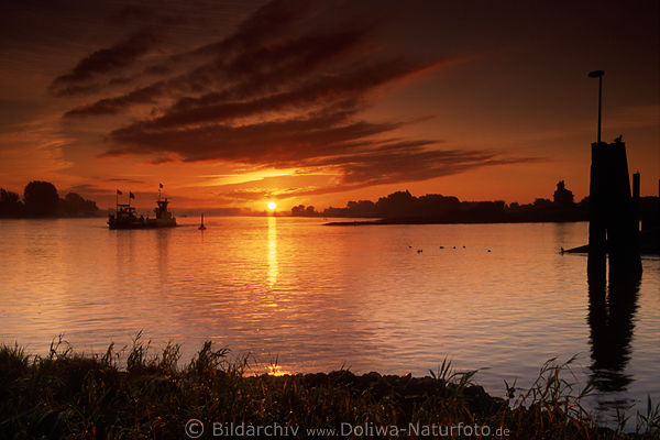 Elbe-Sonnenaufgang Naturstimmung ber Wasser Fhre Flulandschaft