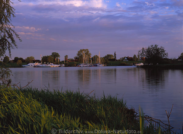 Tespe Elbufer Wasserbucht Jachthafen Segelboote Naturfoto Dorfhuser hinter Deich