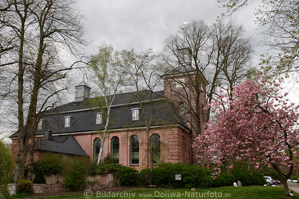 Kloster-Uetersen in Frhlingsblte Museum-Ausflug Elbmarschen