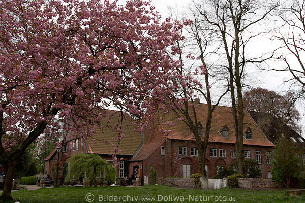Sankt Esprit Einkehr-Restaurant-Weinstube im Kloster zu Uetersen am Museum