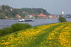 Elbdeichblüte Wasser Schiff vor Lauenburg Frühlingsblumen Landschaft Bild