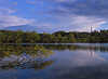 3584_ Elbwasser Tespe Flusslandschaft Wasserstille Naturidylle Stimmung Foto Elbblick