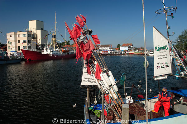 Heiligenhafen Port Fischer prfen Netze auf Fischkutter