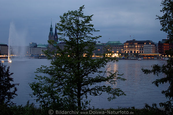 Hamburg City Binnenalster Springbrunnen Rathaus H�user in D�mmerung