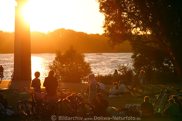 Alstertreff Uferwiese Sonnenuntergang ber Seewasser rtliche Stimmung