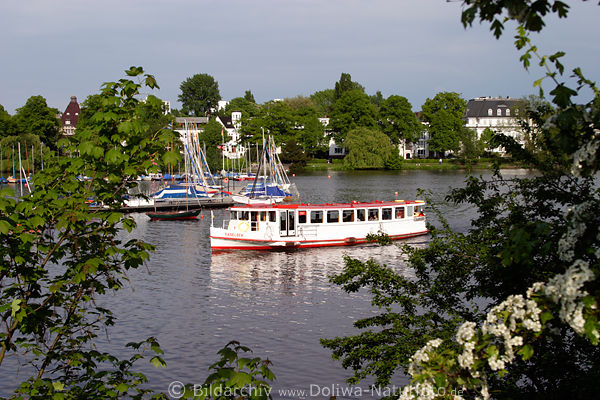Alsterschippern Ausflugsschiff Saselbek Seefahrt bei Frhlingsblte vor Seglerhafen