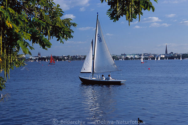 Segler Bild Segelboote auf Hamburger Alster segeln sonntags in Seewasser