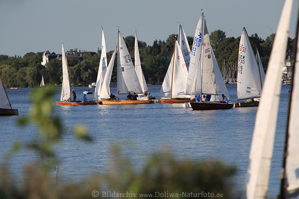 Alsterwasser Segelboote-Landschaft in Hamburg Regatta segeln